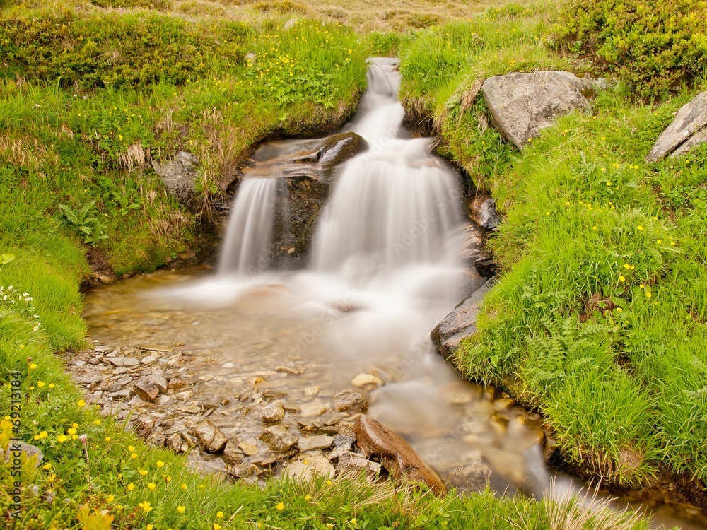 Rapids on mountain stream in spring meadow of Alps. Cold misty a