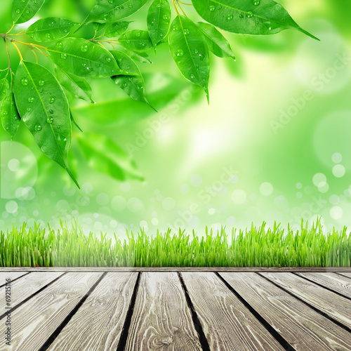Spring nature background with grass