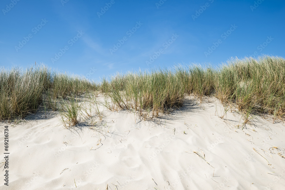 Dune with beach grass in the foreground. Dune with beach grass in the foreground.