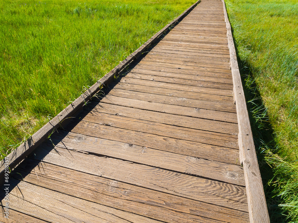 wooden walkway among green grass field background wooden walkway among green grass field background