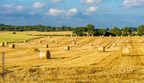 Hay bales
