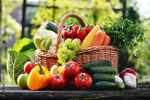Fototapeta Naklejka Na Ścianę i Meble -  Wicker basket with assorted raw organic vegetables in the garden