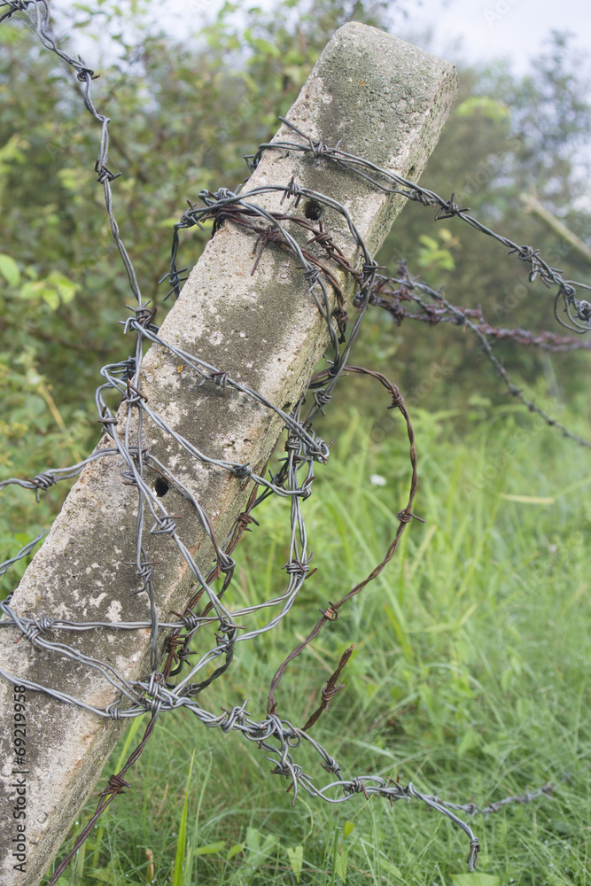 Fototapeta premium Słupek z drutem kolczastym
