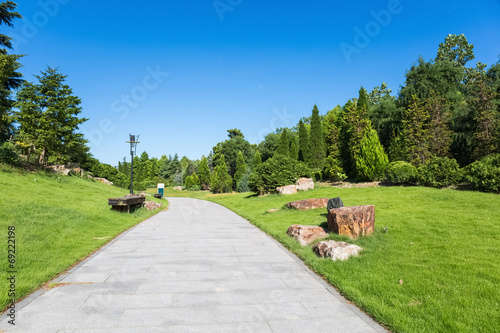 Fototapeta Naklejka Na Ścianę i Meble -  sunny morning in the park