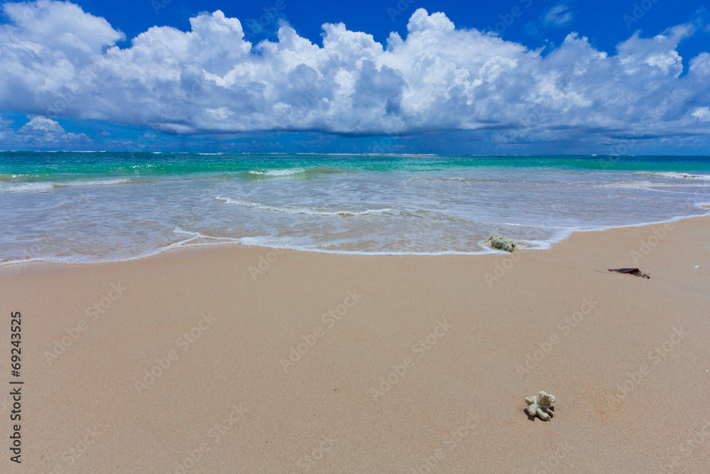 Fototapeta premium Nai Yang Beach blue cloundy sky with old tree Phuket,Thailand,