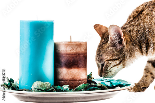 Fototapeta Naklejka Na Ścianę i Meble -  Scented candles