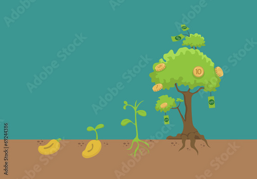 Evolution of money tree