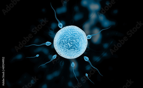 Fotografija sperm and egg