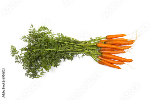 Möhren - Carrots