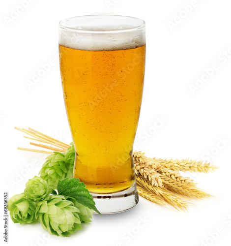 Glass of fresh Beer with green Hops and ears of barley isolated