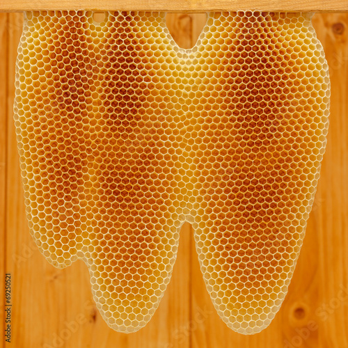 Honeycomb on frame