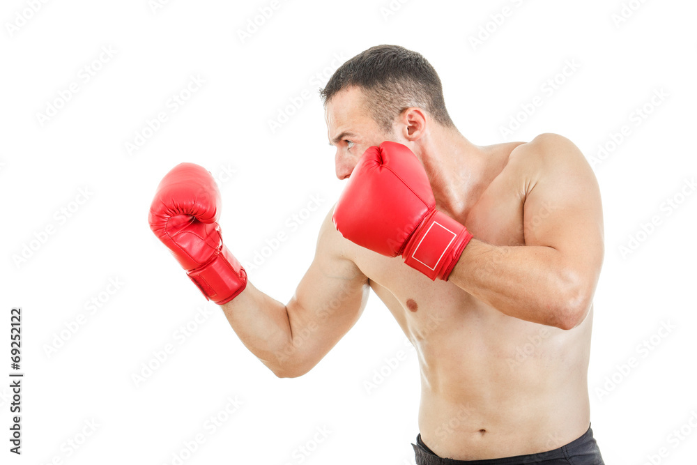 side view of muscular adult boxer man ready to fight side view of muscular adult boxer man ready to fight