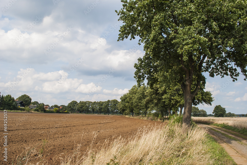 Fototapeta premium Farmland