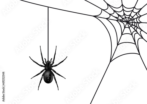 Spinne mit Spinnennetz, schwarz / Vektor / isoliert