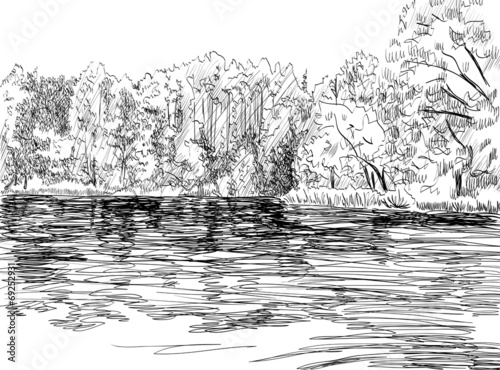 Summer landscape