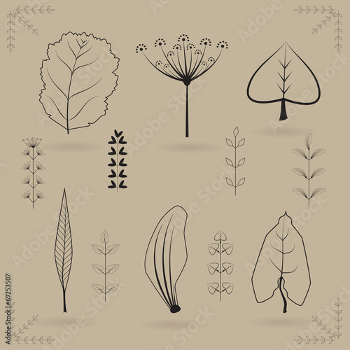 Herbarium of the different leaves. A vector illustration.