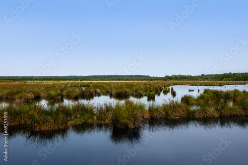 Moor