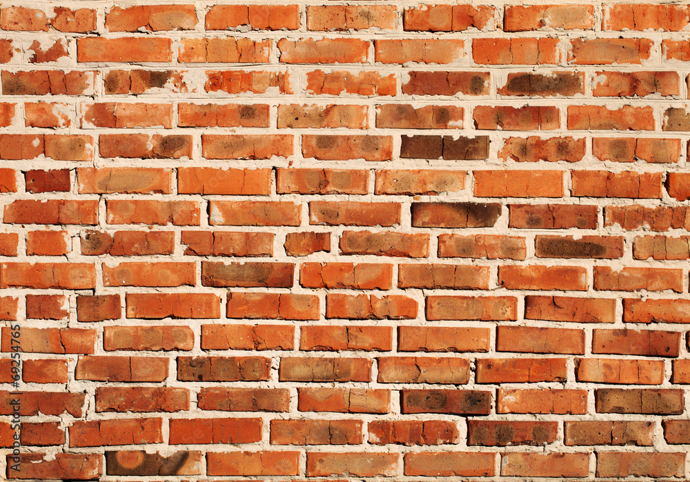 Fototapeta premium Red brick