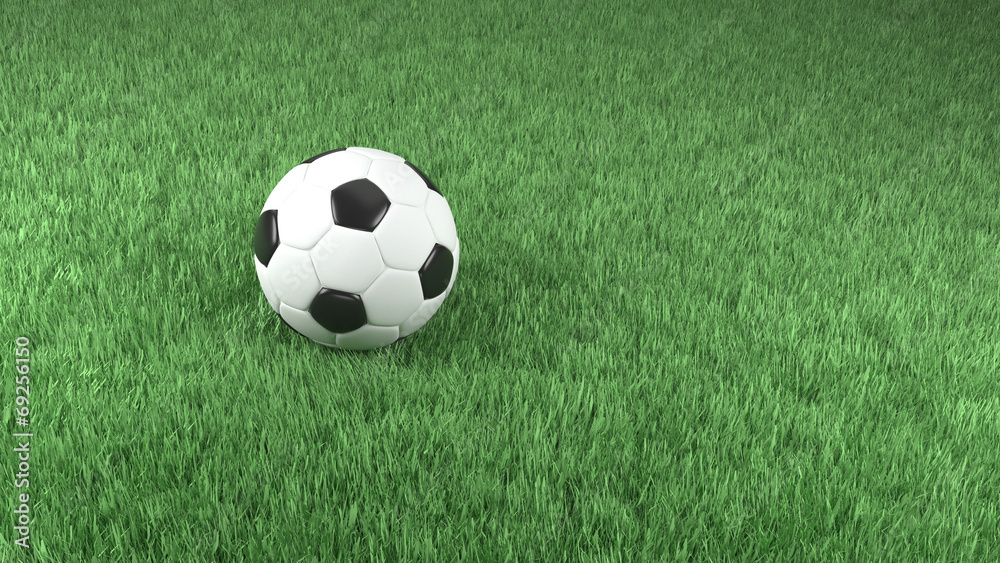 Realistic 3d rendering of a football on green grass