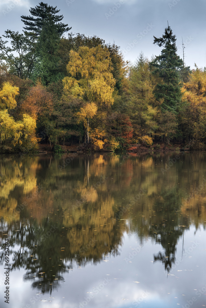 Beautiful vibrant Autumn woodland reflecions in calm lake waters Beautiful vibrant Autumn woodland reflecions in calm lake waters