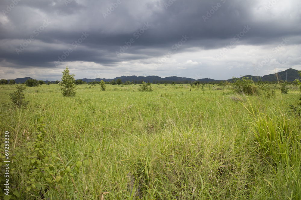 Fototapeta premium Rain cloud over the green field