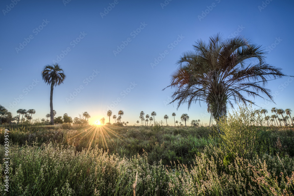 Obraz premium Sunrise on El Palmar National Park, Argentina