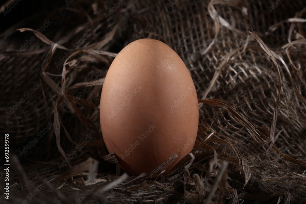 chicken eggs on the farm chicken eggs on the farm