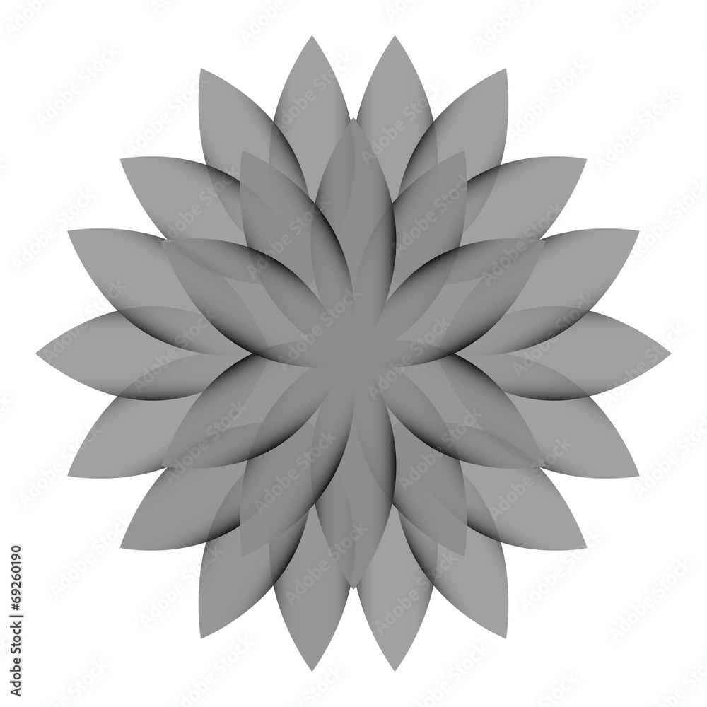 Gray flower lotus