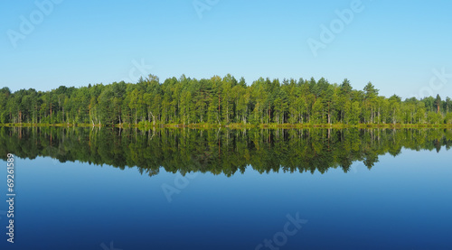 forest lake. karelia