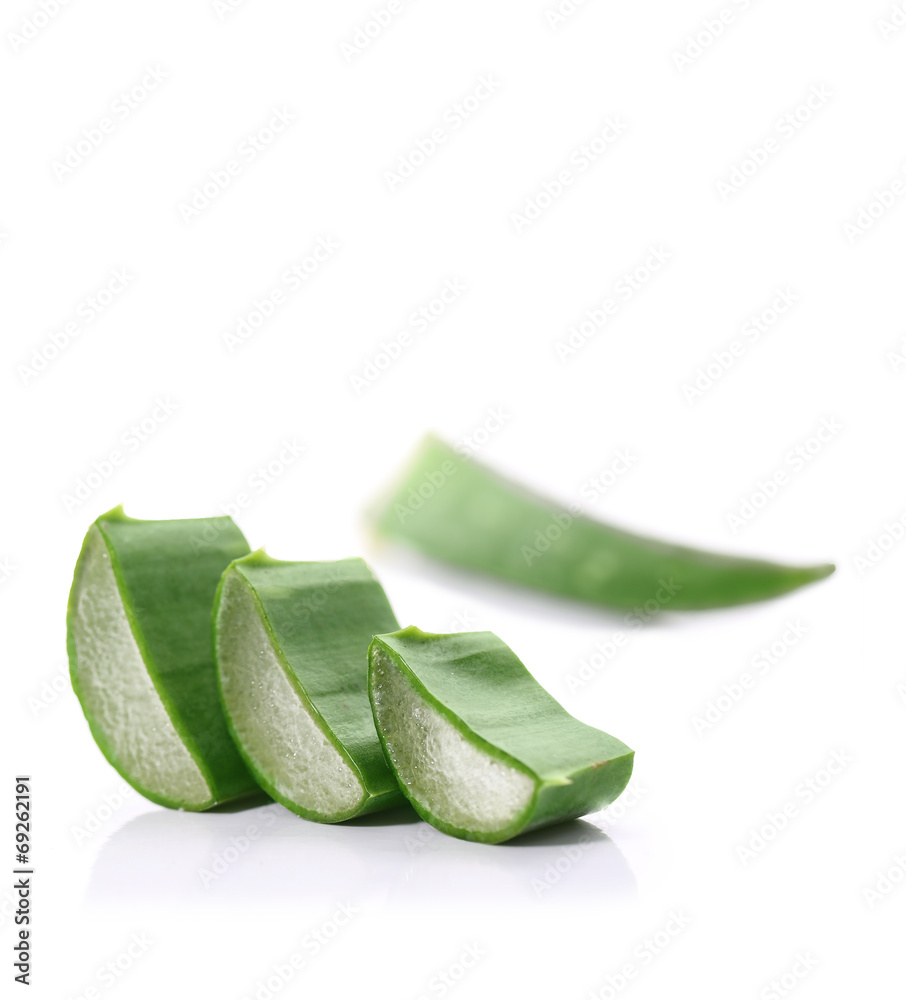 aloe vera aloe vera