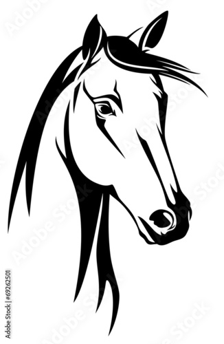 Fototapeta Naklejka Na Ścianę i Meble -  horse head black and white design