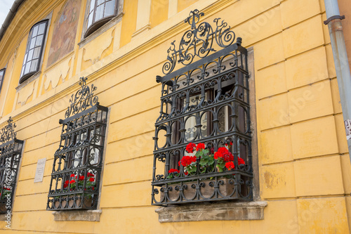 Ornate wrought iron window shutters with germanium plants and ye