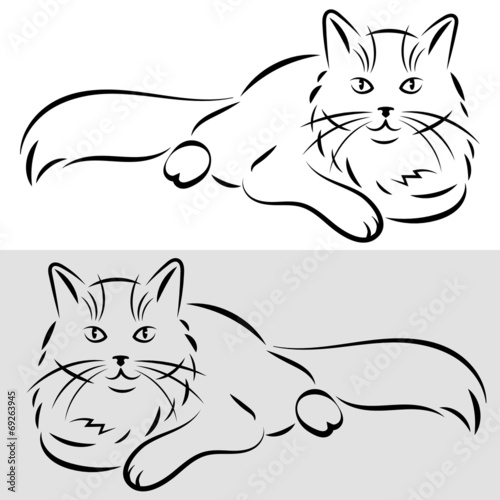 sketch of a cat