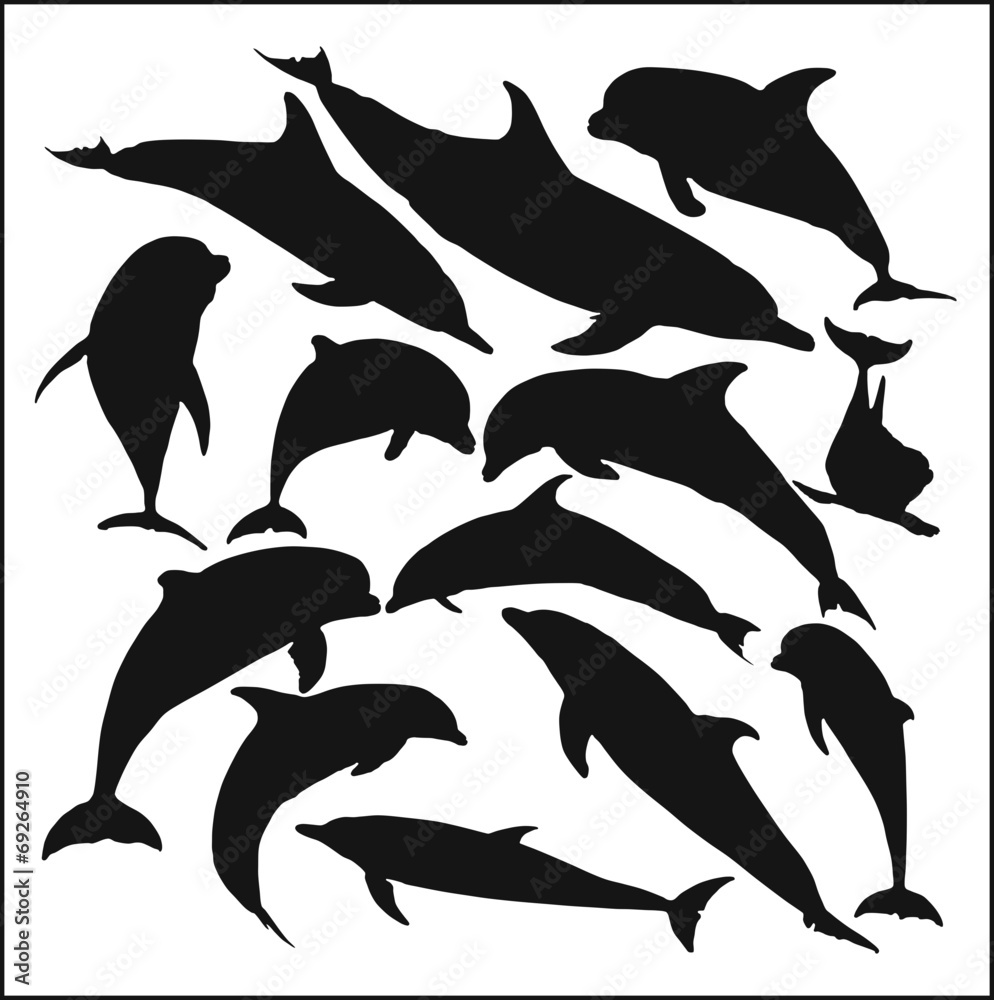 Naklejka premium Дельфины