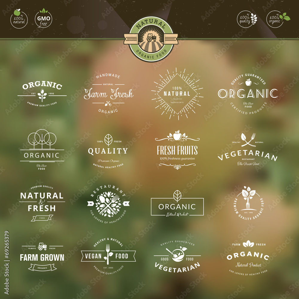 Vintage elements for labels and badges for organic food - obrazy, fototapety, plakaty 