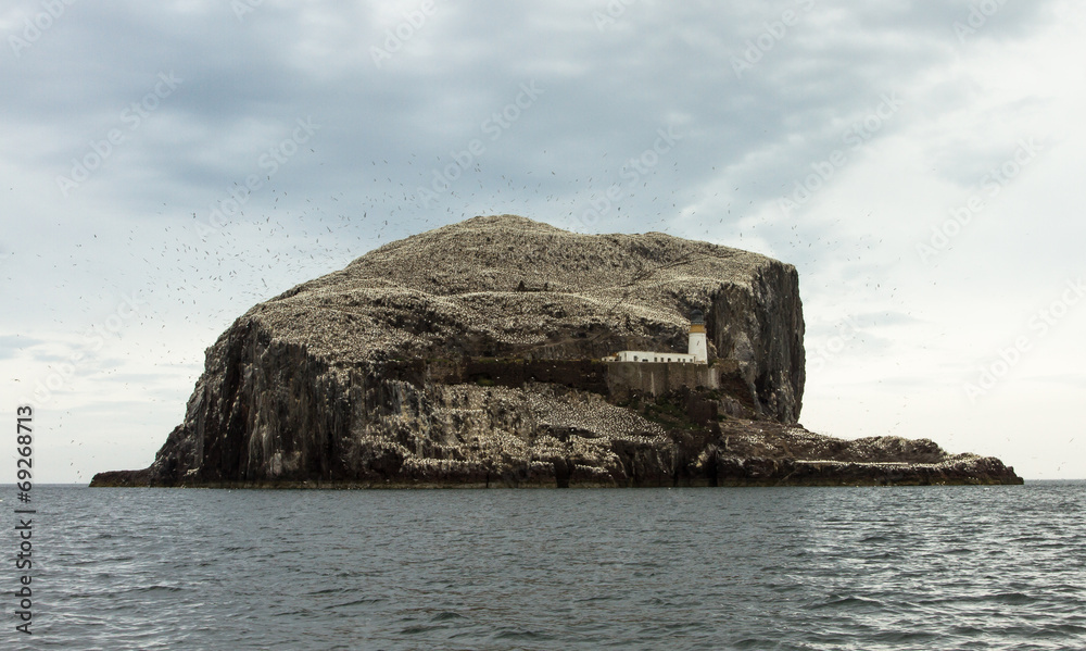 Bass Rock and the Northern Gannets