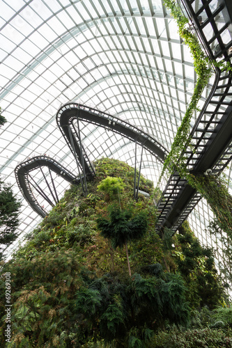 Canvas Print inside cloud forest dome in singapore