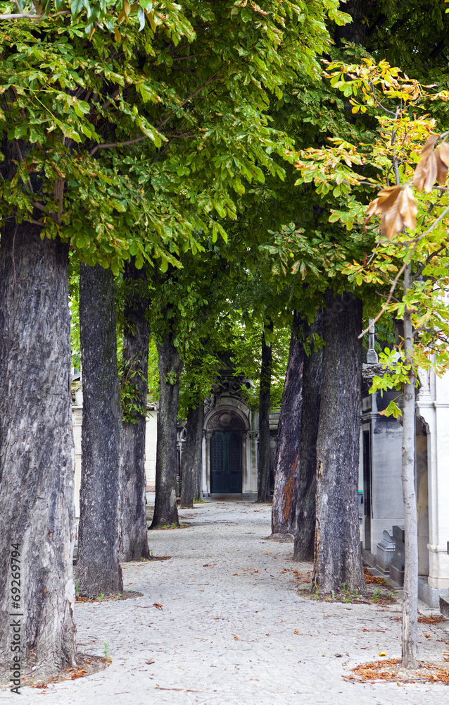 Naklejka premium Passy Cemetery in Paris