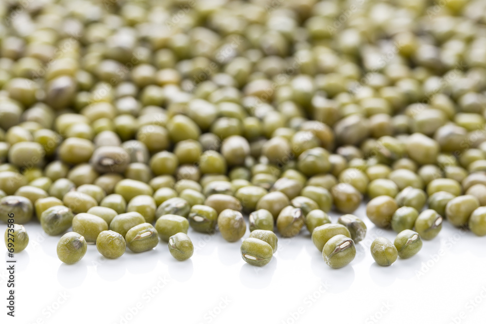 mung bean (Vigna radiata)