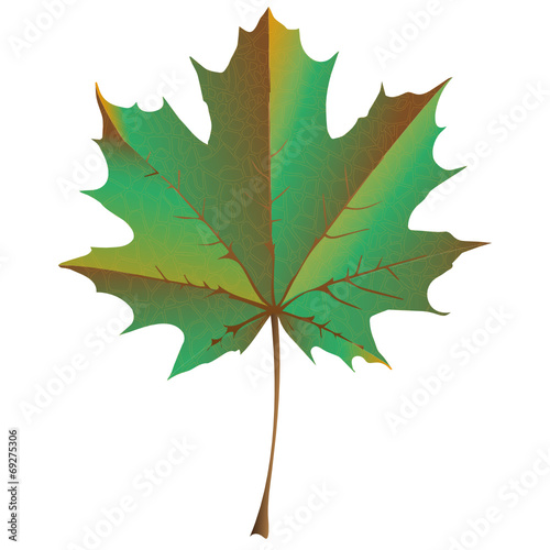 HERBST