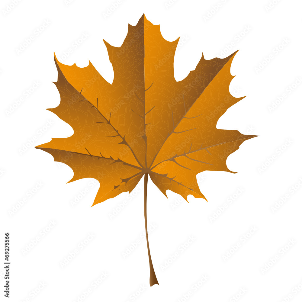 Fototapeta premium HERBST