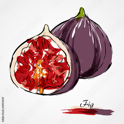 Fig fruit