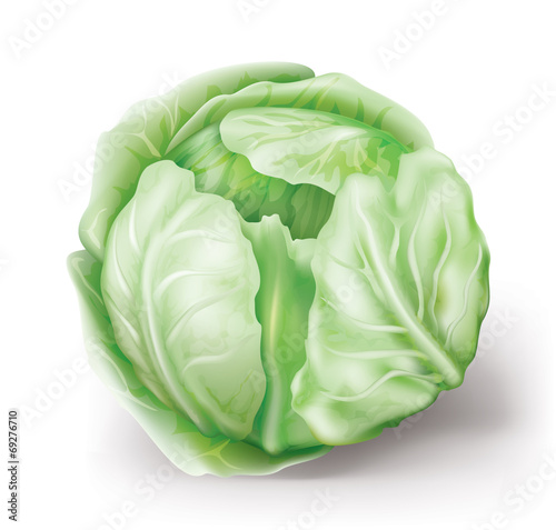 cabbage
