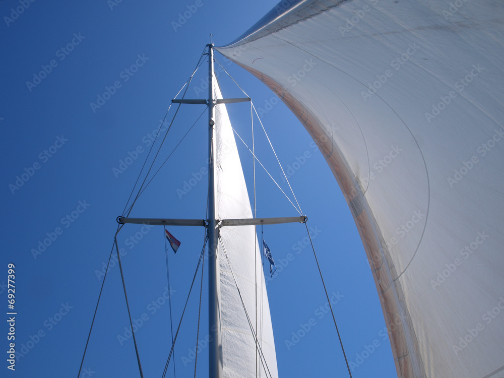 Fototapeta premium We are Sailing