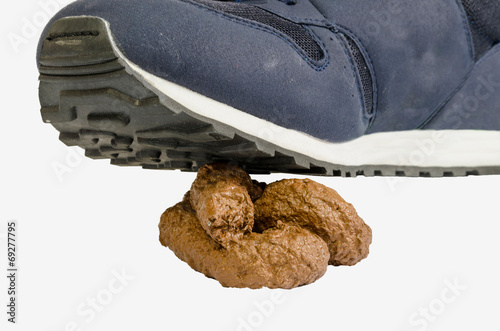 Canvas Print Sneaker steps onto a crap