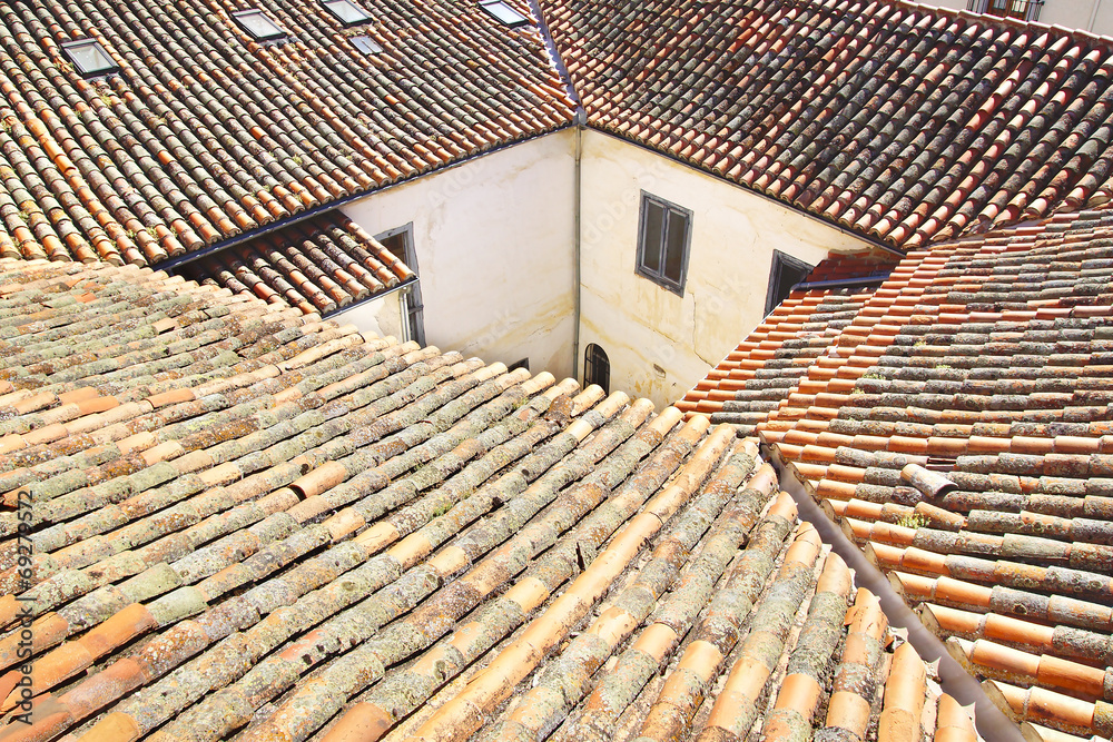 Naklejka premium Vintage house with tile roof.