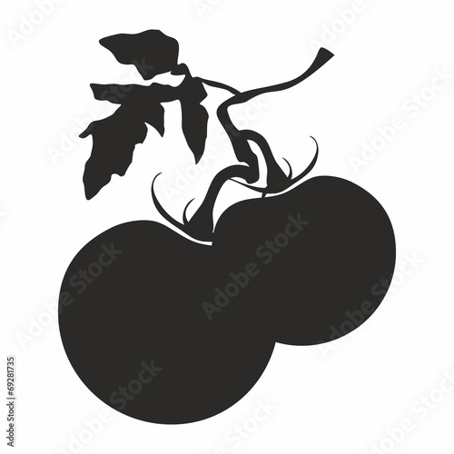 Vector illustration of tomatoes