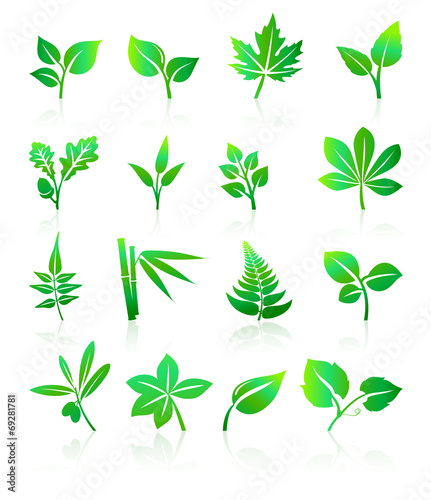Green Leafs Icons