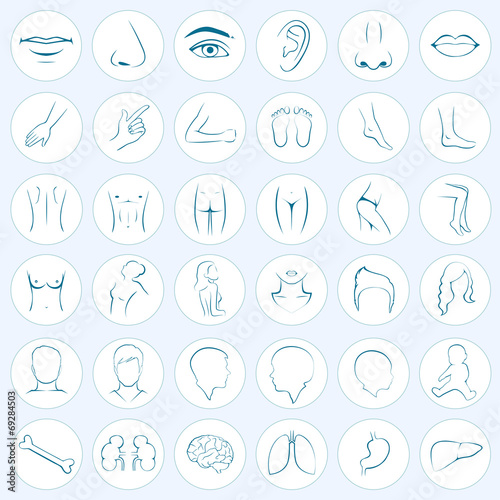 human body parts, five senses, organs, medical vector icons