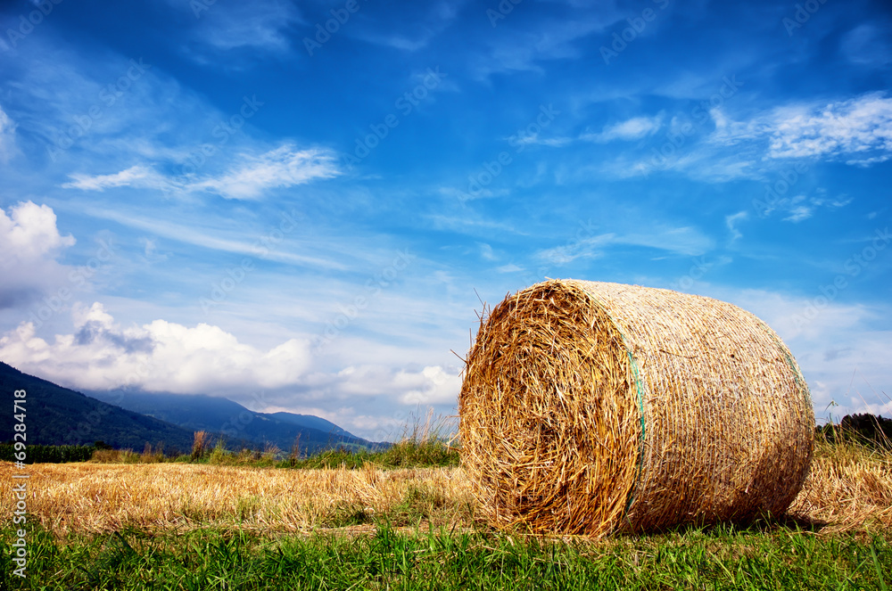 haybale